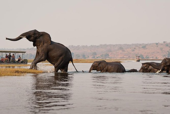 Chobe Sunrise upto Sunset Day trip from Victoria Falls 5AM - 7PM - 5am departure and the road through Mosi-Oa-Tunya