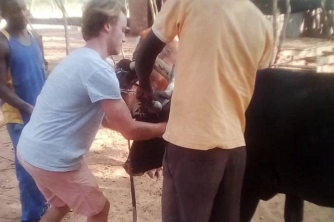 Cultural Village Tour,Interacting With the Communal Villagers (Educational Trip) - Why the private format matters