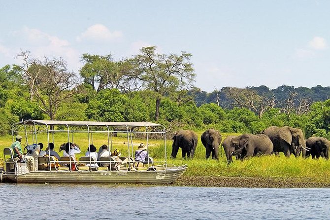 Explore Chobe National Park With a Day Trip from Victoria Falls - Key points to know before booking