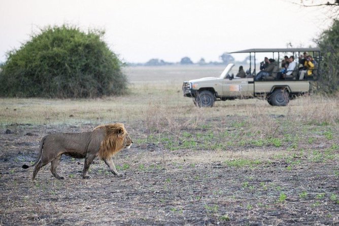 Explore Chobe National Park With a Day Trip from Victoria Falls - Why Chobe works as a day trip from Victoria Falls