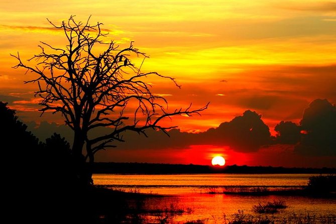Explore Chobe National Park With a Day Trip from Victoria Falls - Crossing from Zimbabwe into Botswana