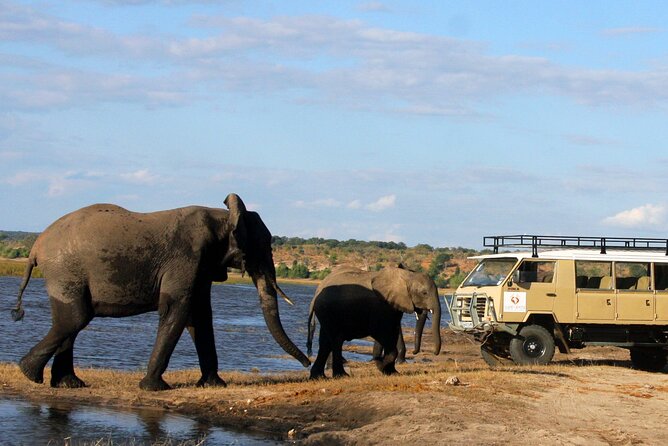 Explore Chobe National Park With a Day Trip from Victoria Falls - The Chobe River cruise, the strongest part of the day