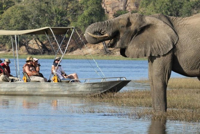 Explore Chobe National Park With a Day Trip from Victoria Falls - The 7:00 a.m. pickup from Victoria Falls