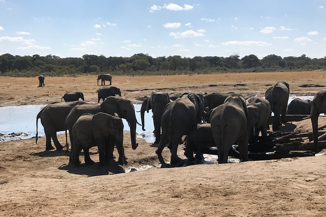 Five-Day Hwange NP, Chobe NP and Victoria Falls Combo - Five details that shape the experience