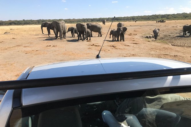 Five-Day Hwange NP, Chobe NP and Victoria Falls Combo - Day 3: Victoria Falls by foot and boat