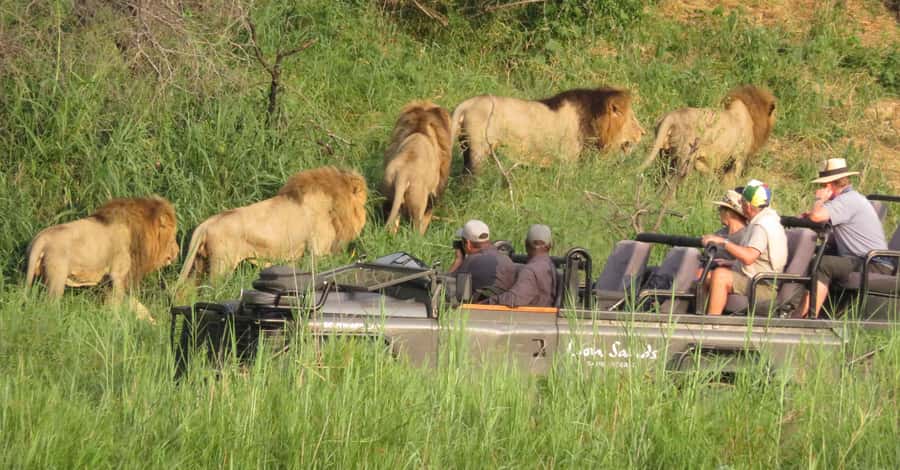 From Kasane: Chobe National Park Full Day Wildlife Safari - Why the river cruise is the right start
