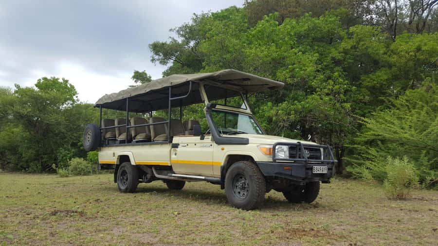 From Kasane: Chobe National Park Full Day Wildlife Safari - What the $122 price really includes
