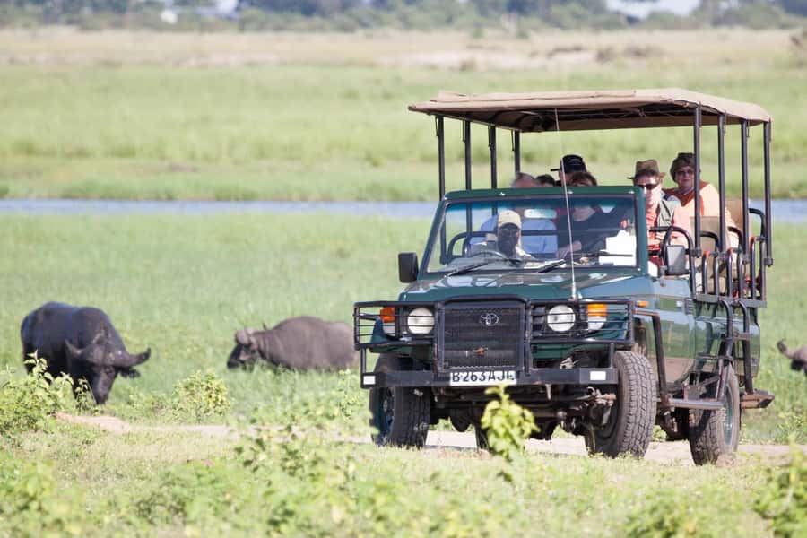 From Kasane: Chobe National Park Full Day Wildlife Safari - Who will enjoy this safari most