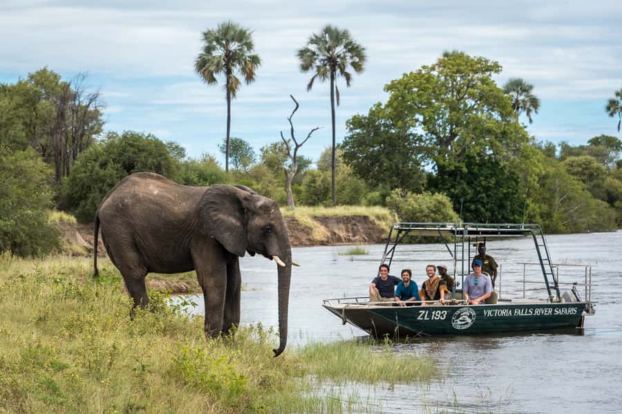 From Livingstone: Victoria Falls River Safari - Booking, cancellation, and practical details