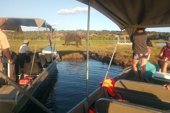 From Victoria Falls: Chobe National Park Small Group Tour - Riverside lunch at about midday