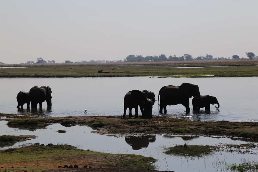 From Victoria Falls: Chobe National Park Small Group Tour - Practical comfort and what to pack