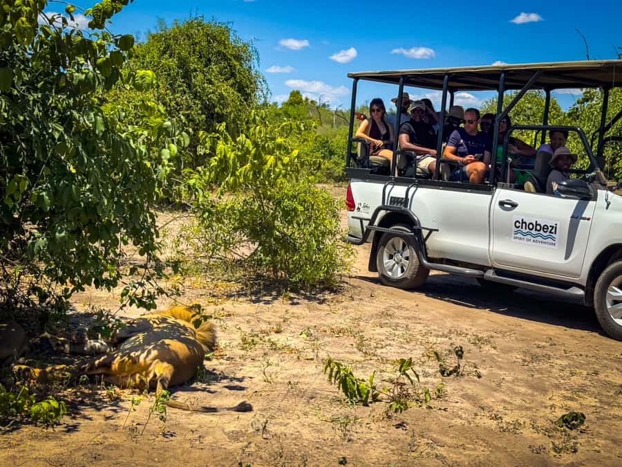 From Victoria Falls: Full Chobe Day trip to Chobe, Botswana - Clothing, cameras, and comfort