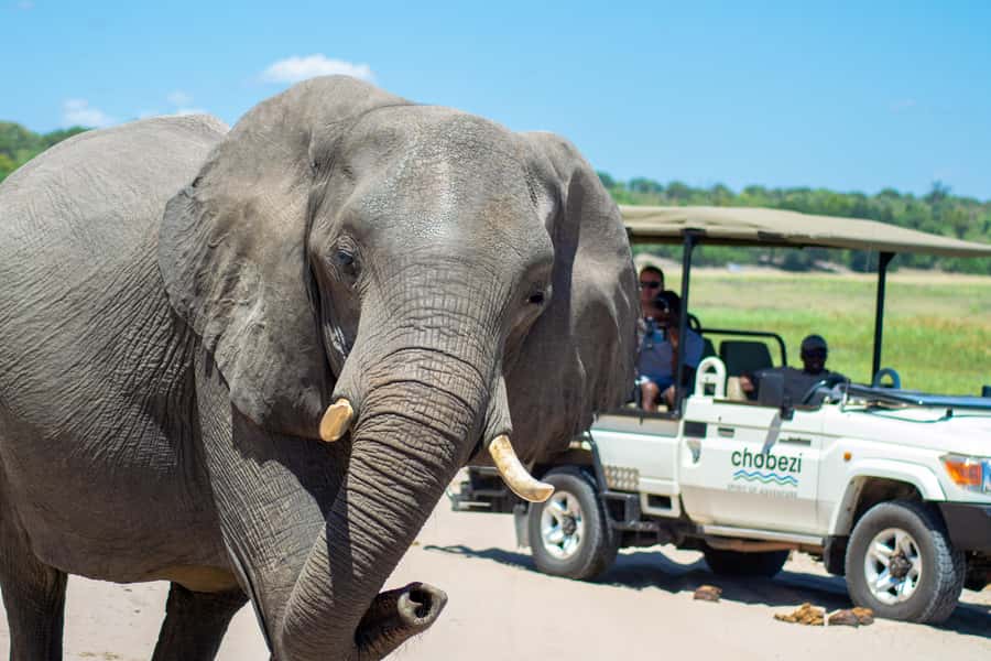 From Victoria Falls: Full Chobe Day trip to Chobe, Botswana - Setting off from Victoria Falls