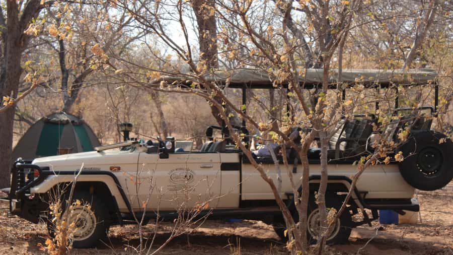 From Victoria Falls: Sunrise to Sunset Chobe Safari - Zambezi National Park before the gates open