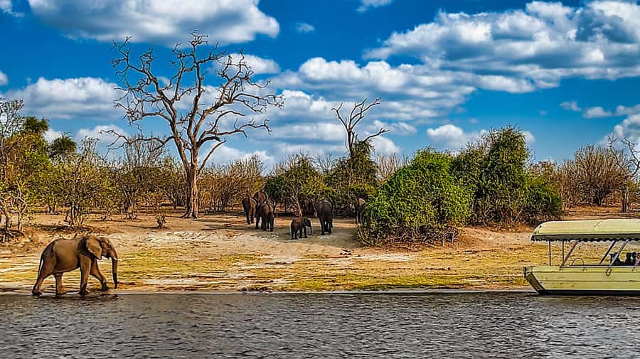 From Zimbabwe: Chobe Safari and Quadripoint Day trip - Should you book the Chobe and Quadripoint trip?