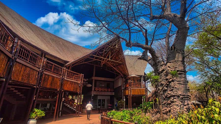 From Zimbabwe: Chobe Safari and Quadripoint Day trip - The early start from Victoria Falls