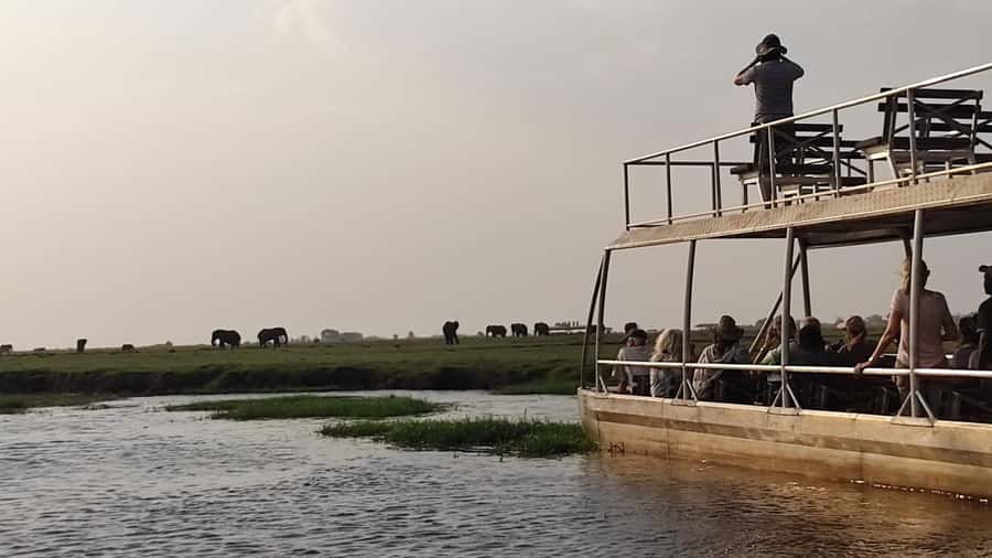 From Zimbabwe: Chobe Safari and Quadripoint Day trip - Border logistics without losing the day