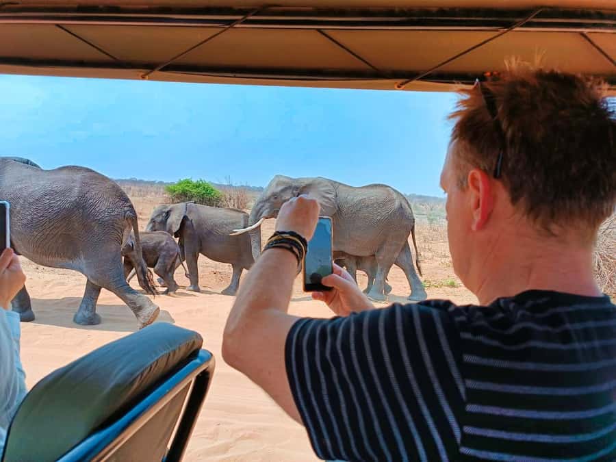 From Zimbabwe: Chobe Safari and Quadripoint Day trip - Who will get the most from this day
