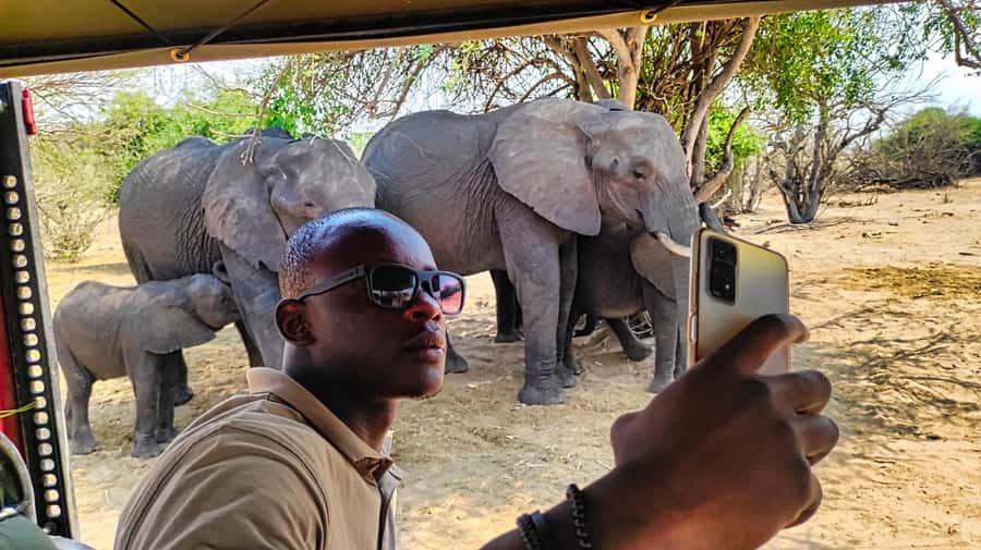 From Zimbabwe: Chobe Safari and Quadripoint Day trip - Practical tips for a smoother Chobe day