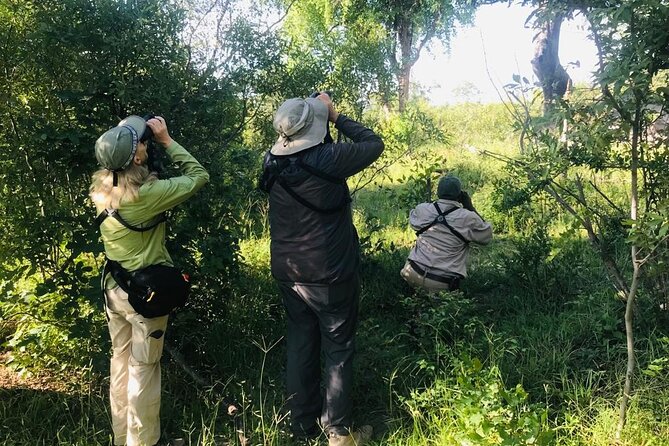 Full Day Birding Zambezi National Park Includes Picnic Lunch - Key points to know before you book
