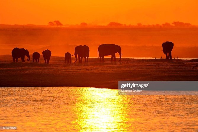 Full Day Chobe National Park Big 5 Safari - The road from Victoria Falls to the Botswana border