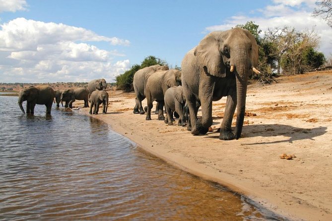 Full Day Chobe National Park Big 5 Safari - What to expect from the land game drive