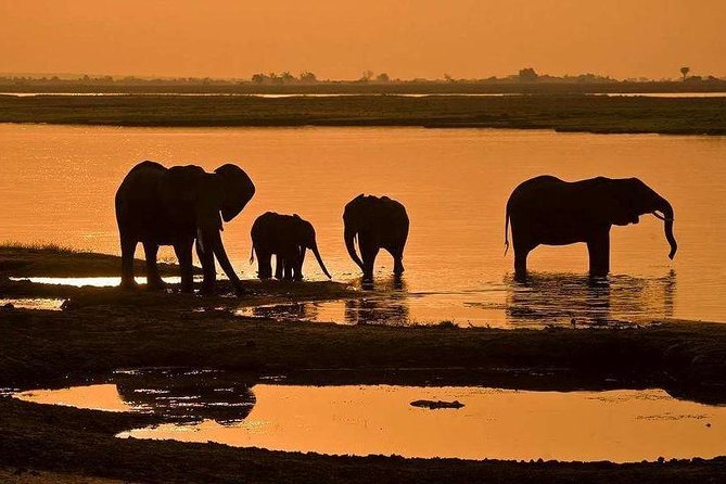 Full Day Chobe National Park Big 5 Safari - The Chobe River cruise gives you a different view