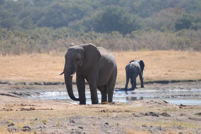 Full Day Chobe Trip with Lunch - Lunch at Cresta Mowana gives the day a proper pause