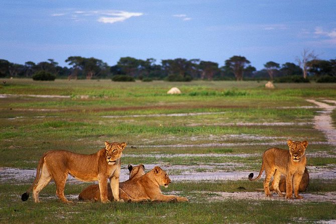 Full Day Hwange Day Trip - Key points to know before booking