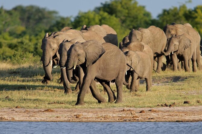 Full Day Hwange Day Trip - Breakfast at Hwange Safari Lodge