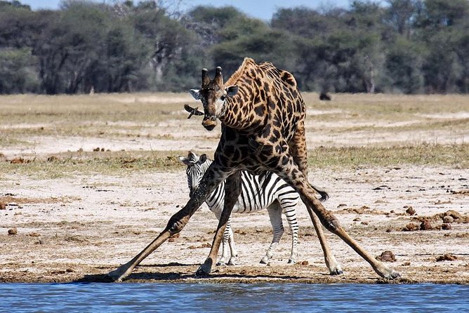 Full Day Hwange Day Trip - What $260 really buys you