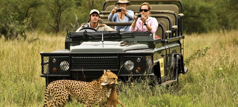 Full Day Safari in Chobe National Park From Victoria Falls - Why Chobe Works So Well as a Day Trip