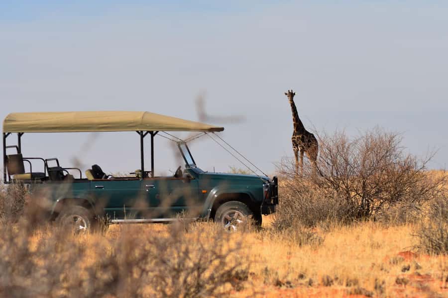 Full Day Safari in Chobe National Park From Victoria Falls - Three Hours on the Chobe Game Drive