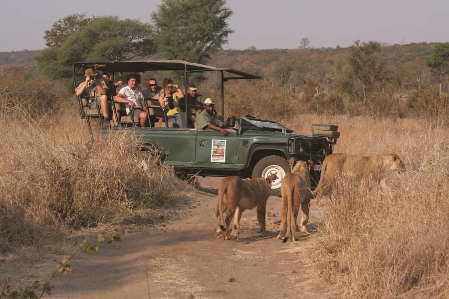 Full Day Safari in Chobe National Park From Victoria Falls - What The Feedback Tells You About The Mood