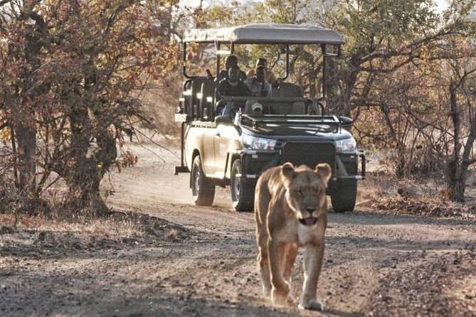 Full-Day Zimbabwe Zambezi National Park Safari & Lunch - What you might see in the park