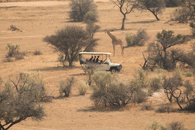 Game drive in Victoria Falls National Park - Key points before you book