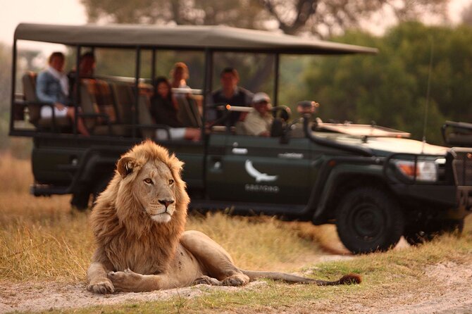 Game drive in Victoria Falls National Park - The value of $88, plus the park charge