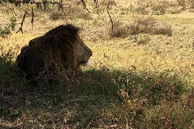 Game Drive in Zambezi National Park Morning or Afternoon - The park name and meeting details need checking