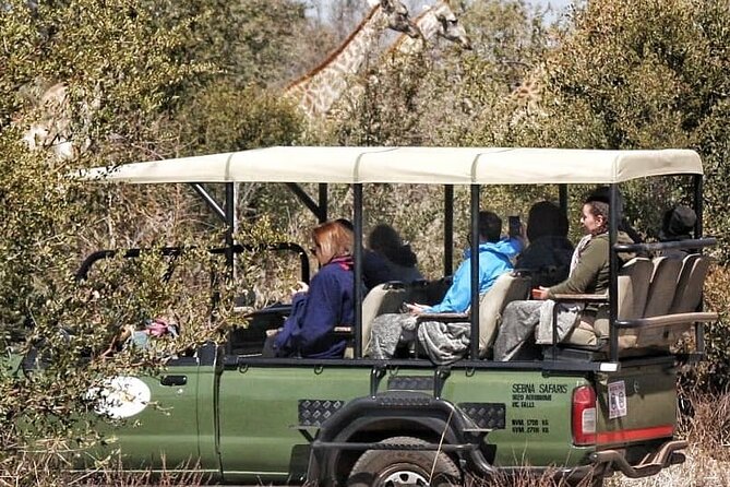 Game Drive Morning & Afternoon - Professional guiding and the value of a shared 4x4