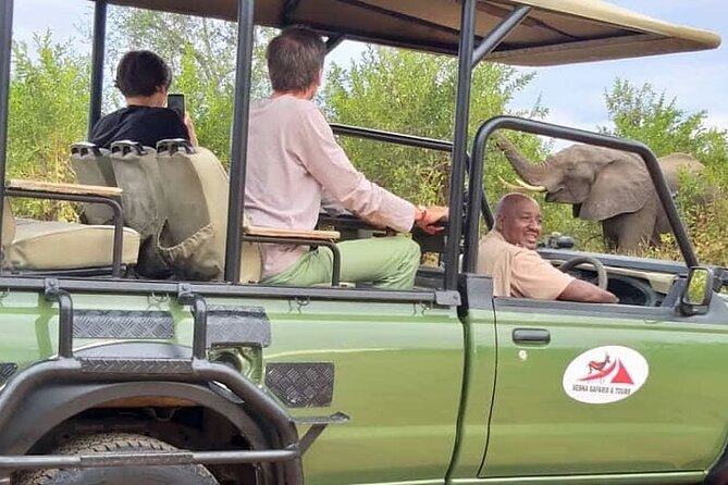 Game Drive Morning & Afternoon - Is $90.08 a good value?