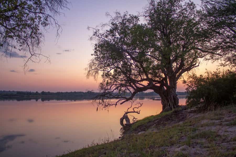 Game Drive -Victoria Falls, Zambezi National Park - VIATOR - The 3:00 PM afternoon drive