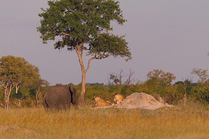 Game Drives - The cold morning issue and what to bring