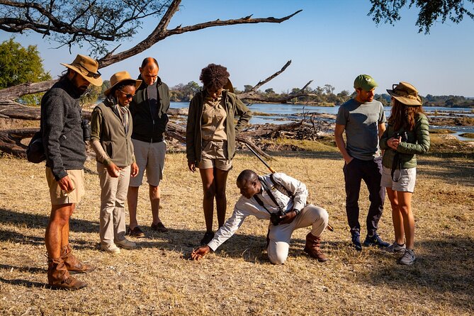 Game Walk in the Zambezi National Park, Victoria Falls - What $109 really buys you
