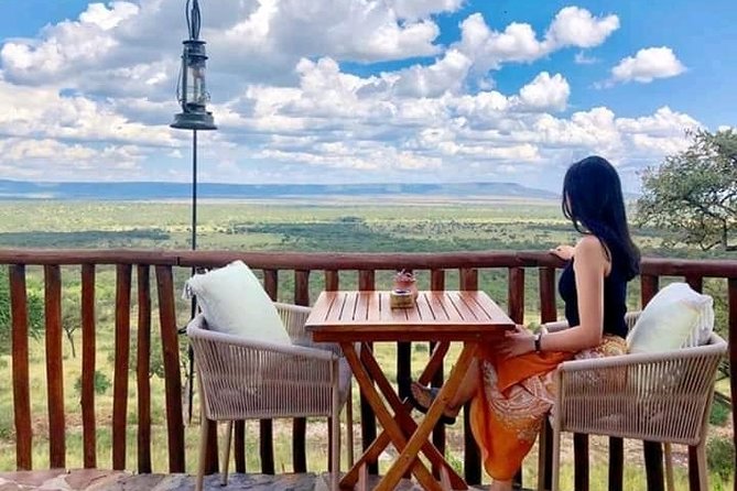 Great Zimbabwe Ruins Tour from Bulawayo with Picnic Lunch ! - What the $350 Price Covers