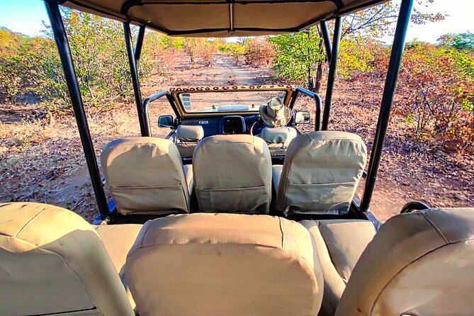 Guided 4x4 Town Safari in Victoria Falls - The guides shape the quality of the hour