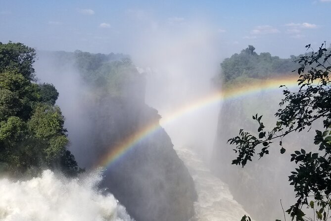 Guided Falls Tour & Zambezi River Cruise Combo - Key points to know before booking