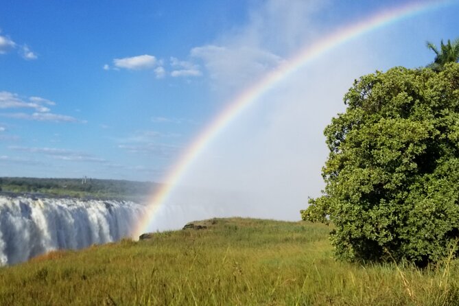 Guided Falls Tour & Zambezi River Cruise Combo - The $95 price and what it really covers