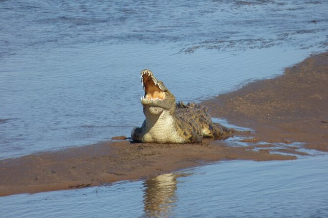 Guided Falls Tour & Zambezi River Cruise Combo - Fifteen viewpoints, spray, and practical walking advice