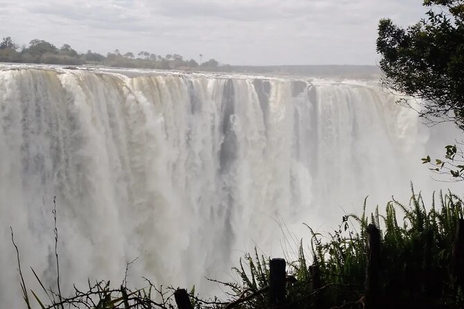 Guided Tour of the Falls - Choosing between 8 a.m., 10 a.m., noon, and 3 p.m.