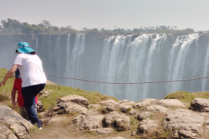 Guided Tour of the Falls - The Big Tree and optional market stop